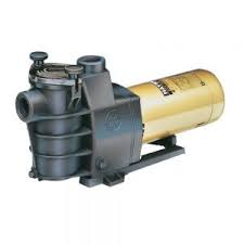 Howard Flow Max 1HP Pump