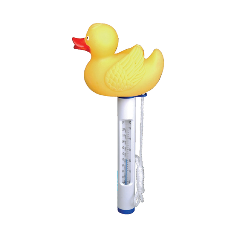 Temperature Thermometer
