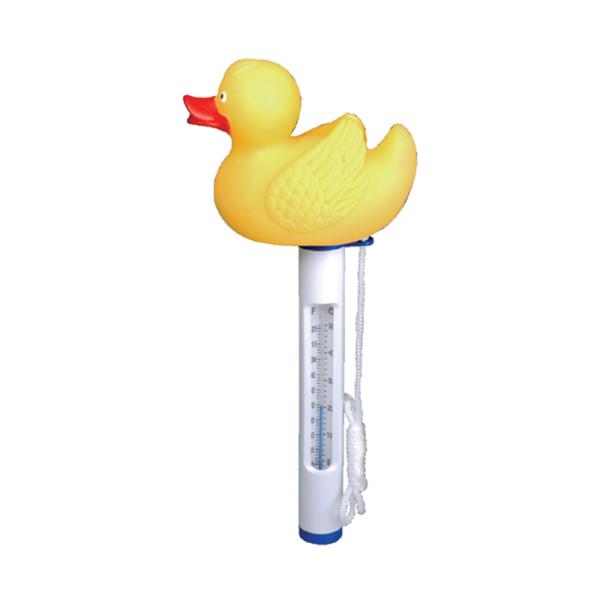 Temperature Thermometer